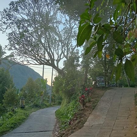 Jepun Homestay Lemukih Singaraja Esterno foto