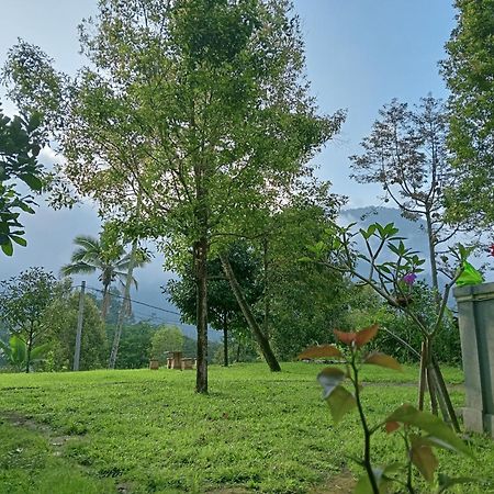 Jepun Homestay Lemukih Singaraja Esterno foto