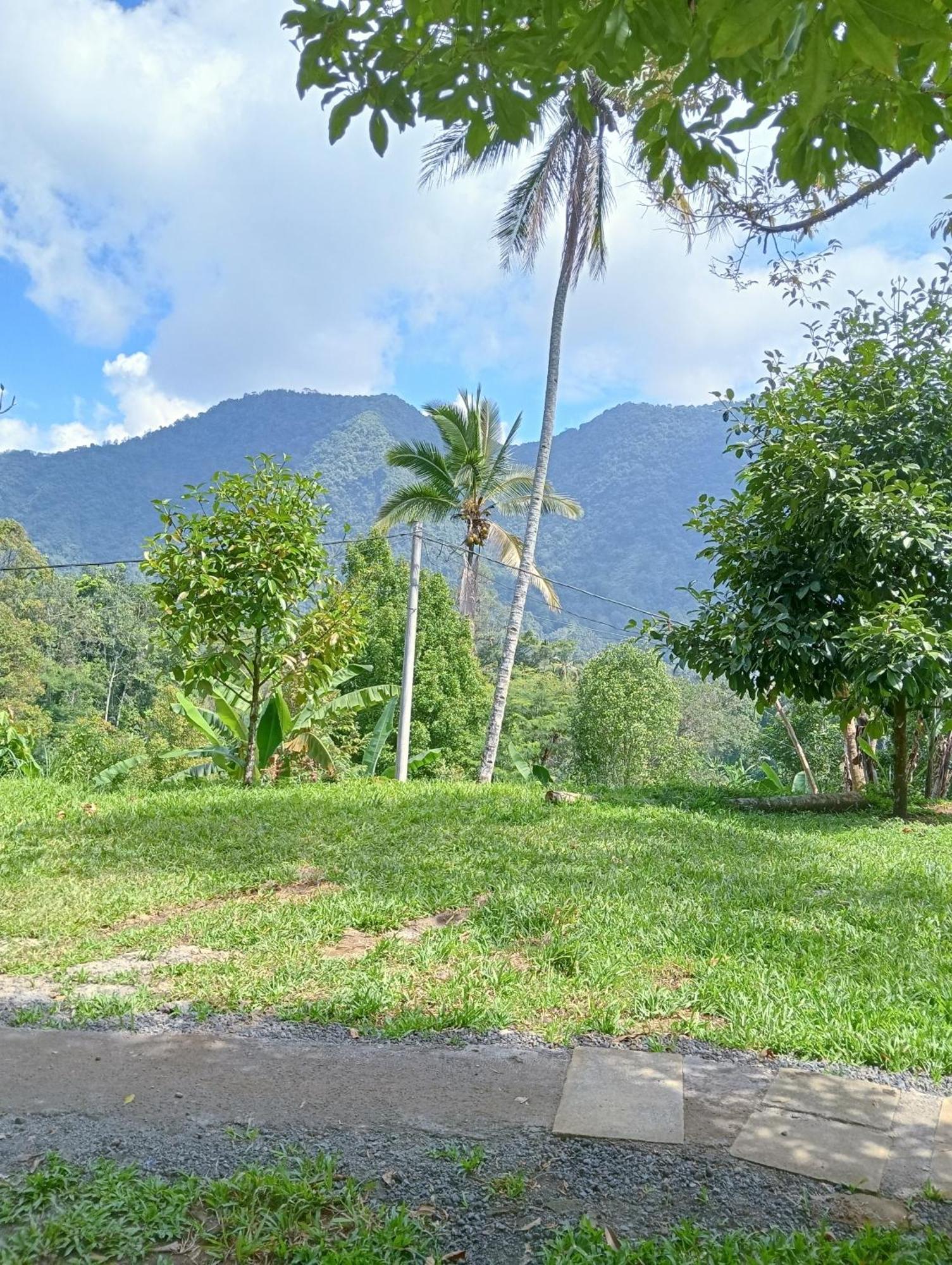 Jepun Homestay Lemukih Singaraja Esterno foto