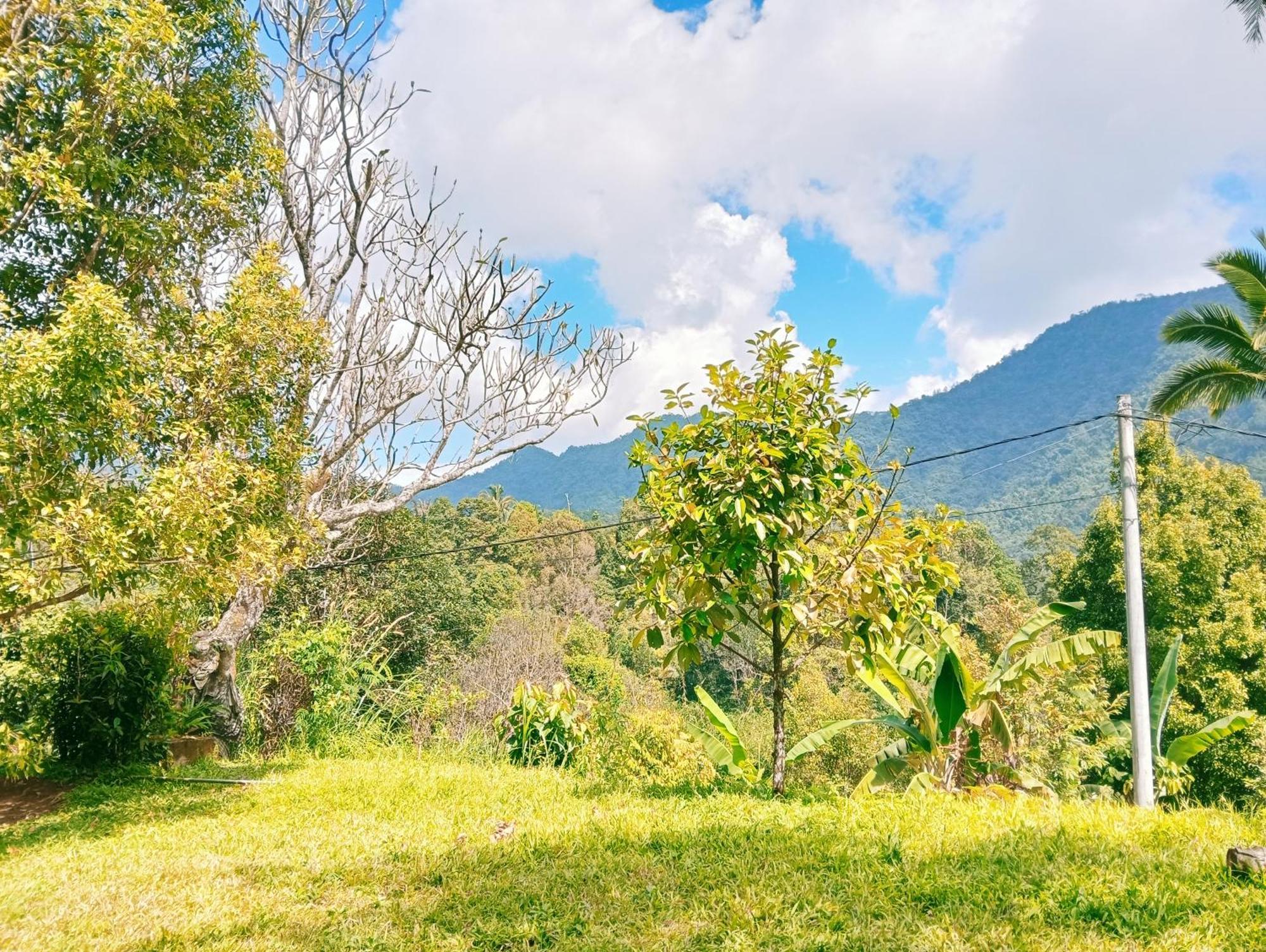 Jepun Homestay Lemukih Singaraja Esterno foto