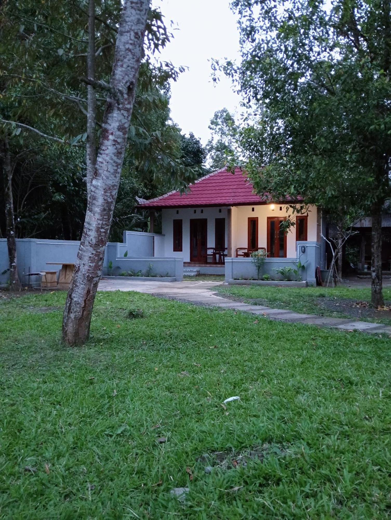 Jepun Homestay Lemukih Singaraja Esterno foto
