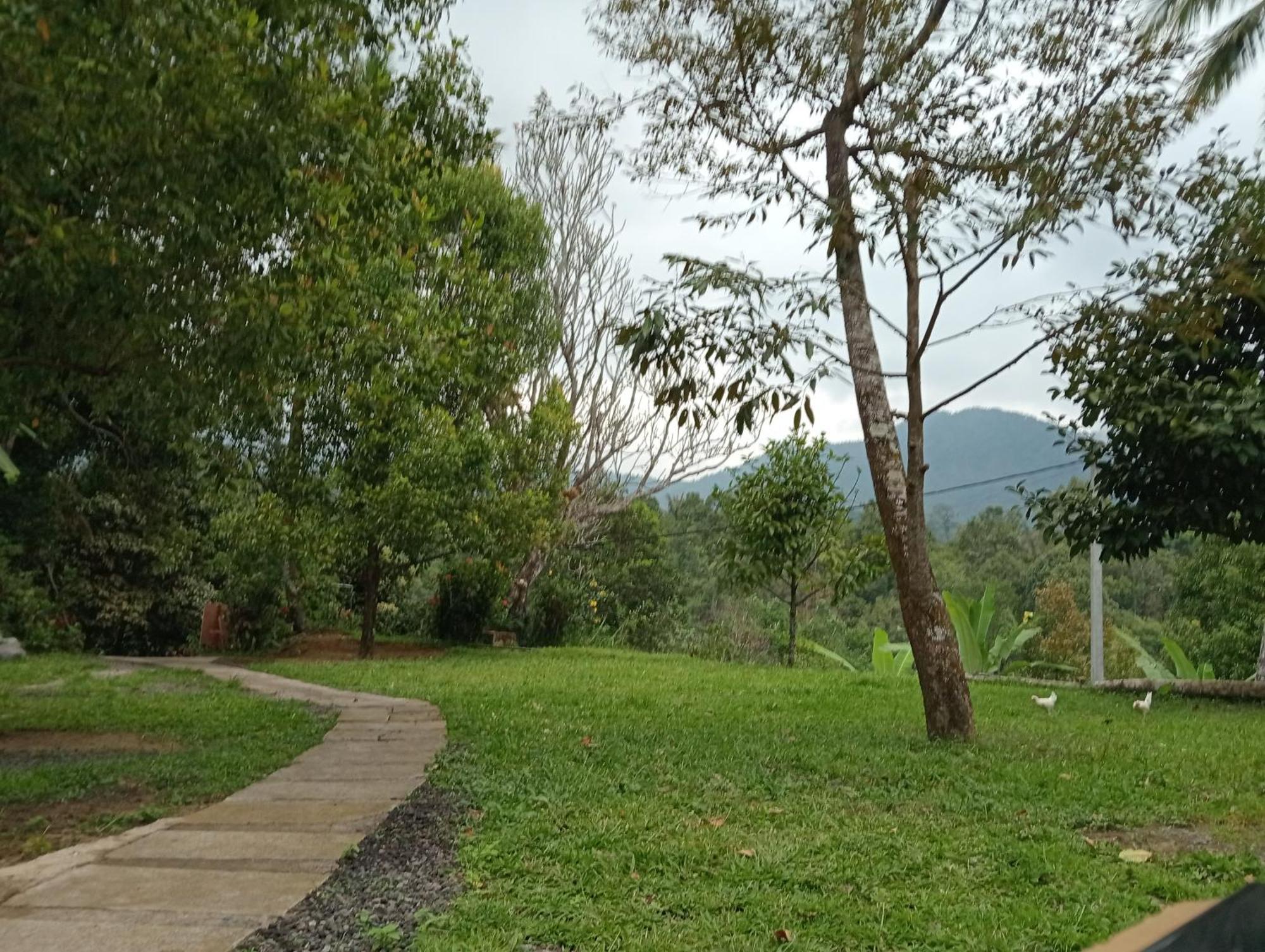 Jepun Homestay Lemukih Singaraja Esterno foto