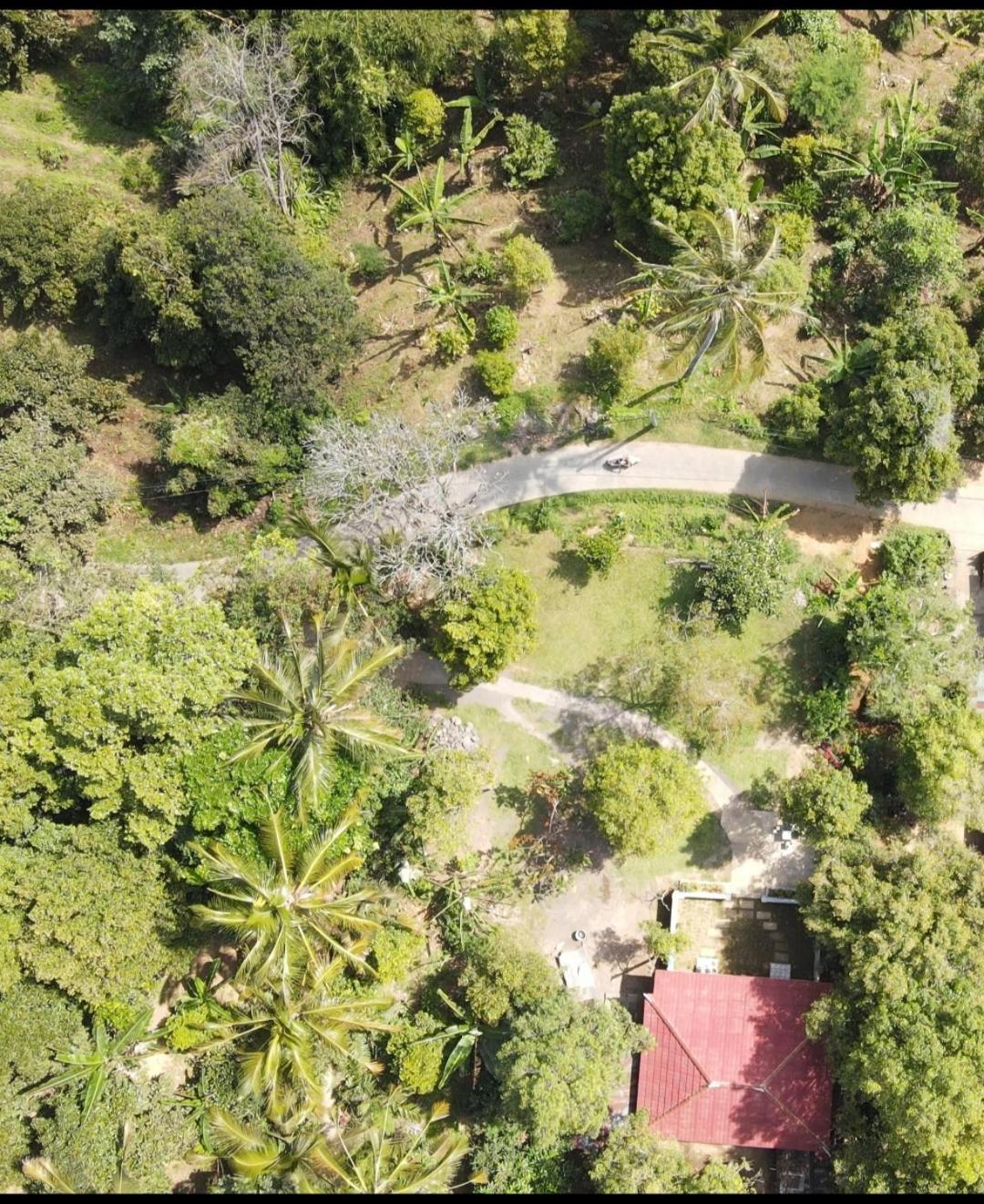 Jepun Homestay Lemukih Singaraja Esterno foto